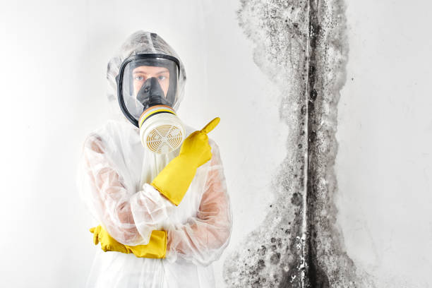 Best Mold removal after water damage  in Rankin, TX